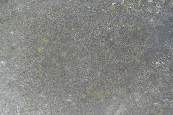 Cost of Slab Staining Service in Vallejo